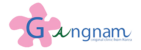 gangnamclinic-th-logo