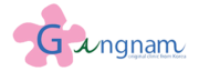 gangnamclinic-th-logo