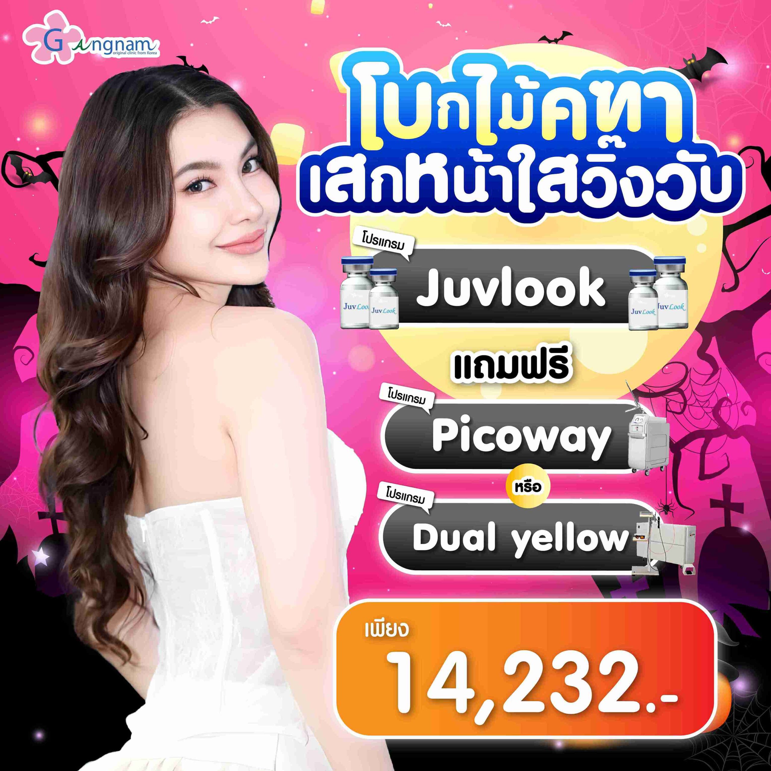 โปร 01-13